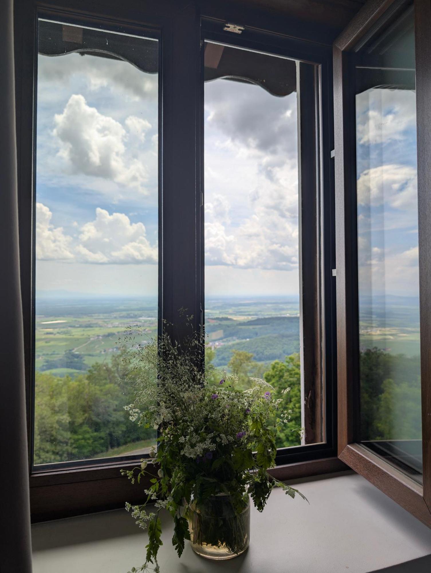 Domaine Du Haut-Koenigsbourg 奥尔斯克维莱 外观 照片